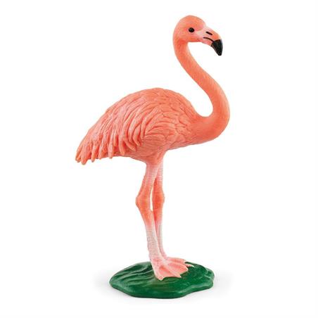 WILD LIFE-FLAMINGO