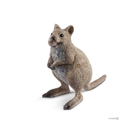 WILD LIFE-QUOKKA