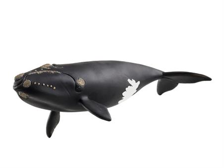 WILD WORLD-BALLENAS FRANCA GLACIAL